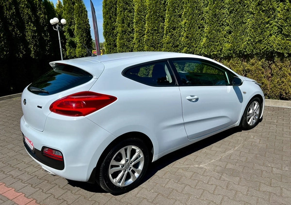 Kia Ceed cena 25900 przebieg: 216281, rok produkcji 2013 z Recz małe 704